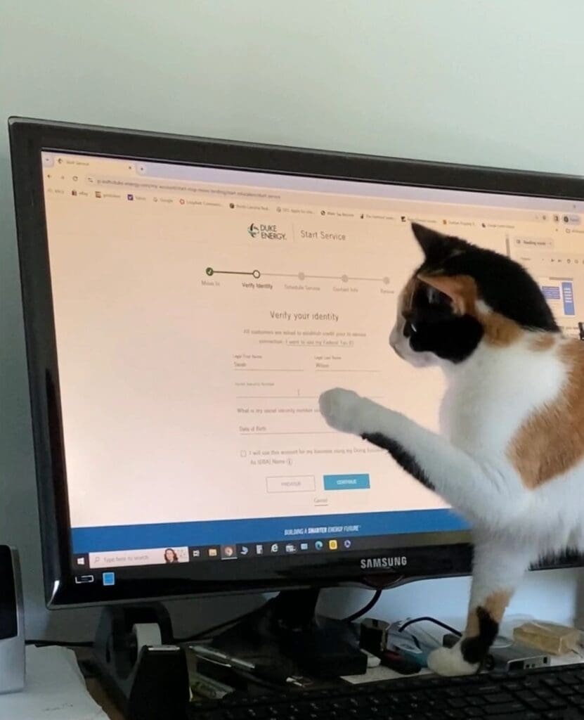 A cat standing in front of a computer screen.