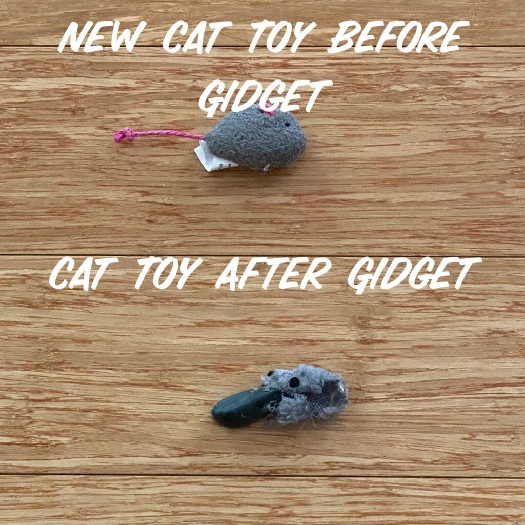 A cat toy before and after a gadget.