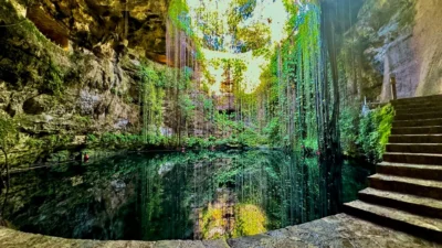 Sunlit cenote pool with hanging vines