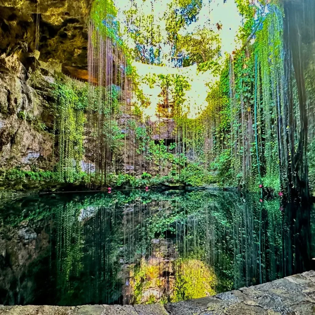Sunlit cenote pool with hanging vines