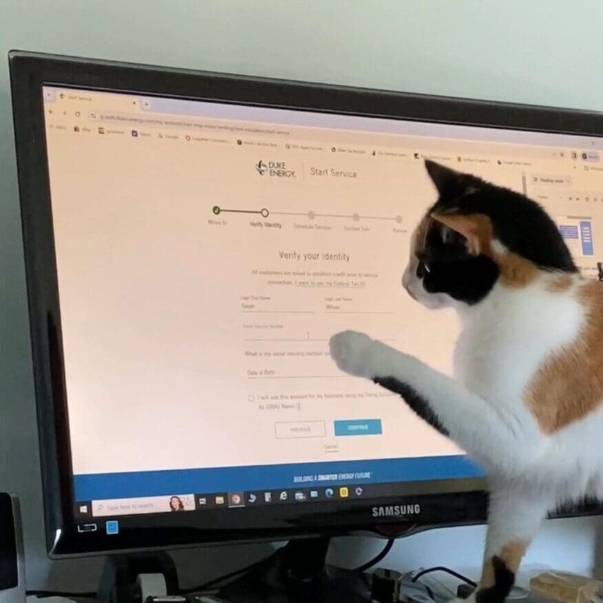 A cat standing in front of a computer screen.