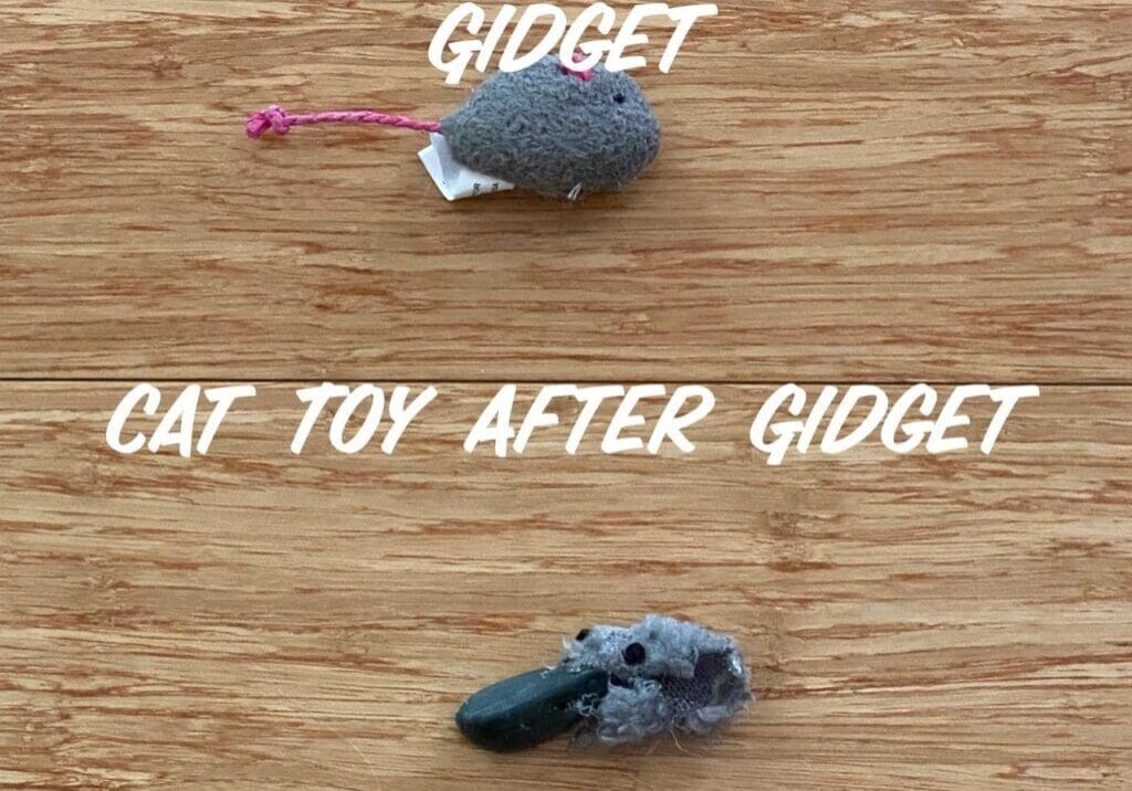 A cat toy before and after a gadget.