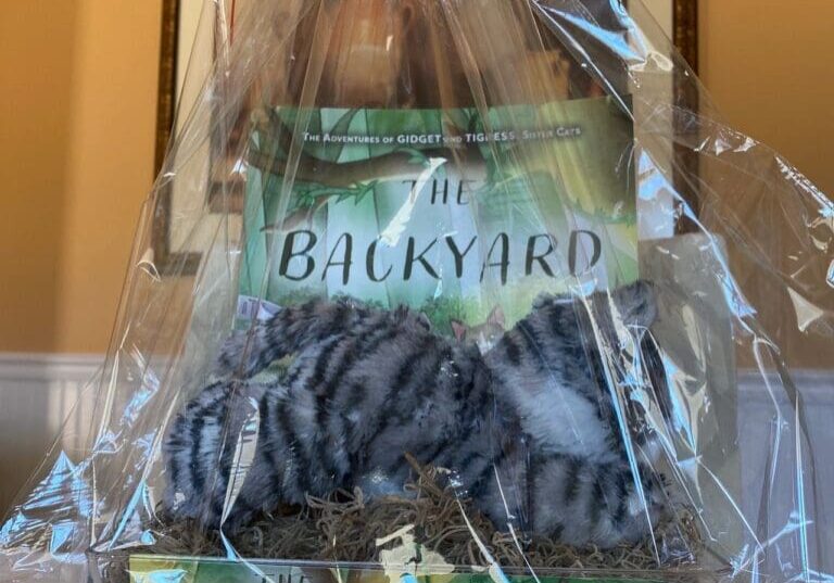 A gift basket with a cat in it.